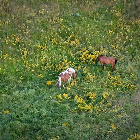 Casa vacanze Mountain House Volta 2 By Interhome *