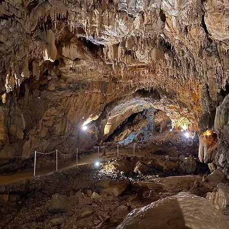 Mountain House Volta 2 By Interhome Casa vacanze Lič